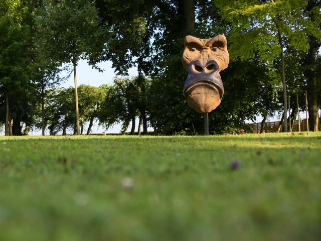 Parc Du Centre De La Matmut