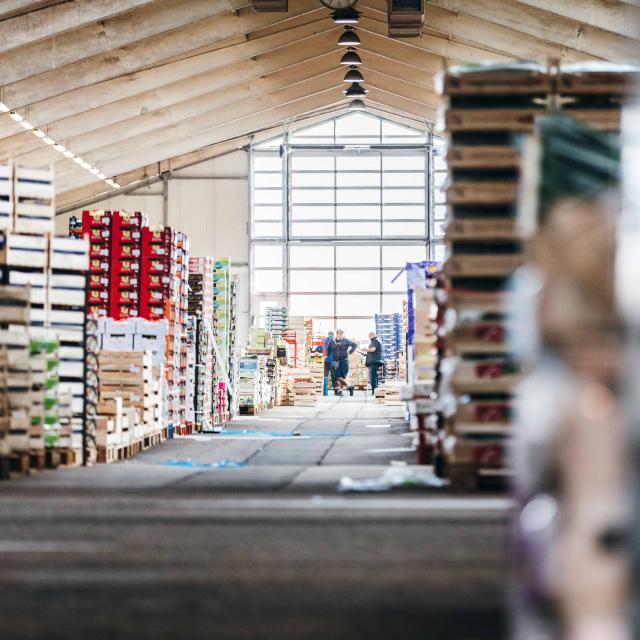 Mercado profesional de variedades ecológicas Rouen Min Halle Fruits Et Légumes