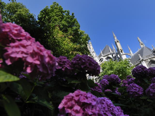 Jardins de l'Hôtel de Ville Rouen