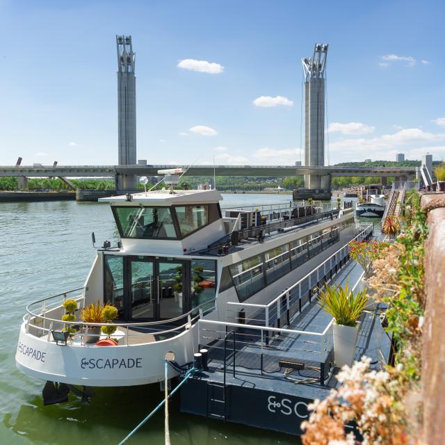 Cruises in the heart of the port activity