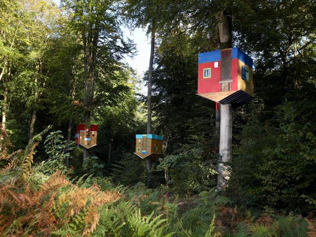 The Monumental Forest