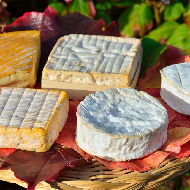 Gastronomía Ruán Alimentación Quesos Normandía Terroir