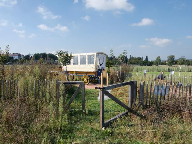 Le Parc Du Champ Des Bruyères Nature Verdure Métropole rouennaise Normandie France paseo actividades salidas en familia