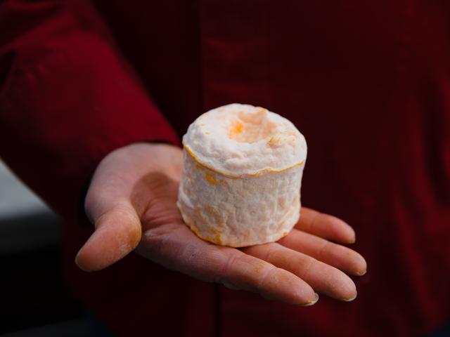 Maison Jollit - Daniel Bourgeois