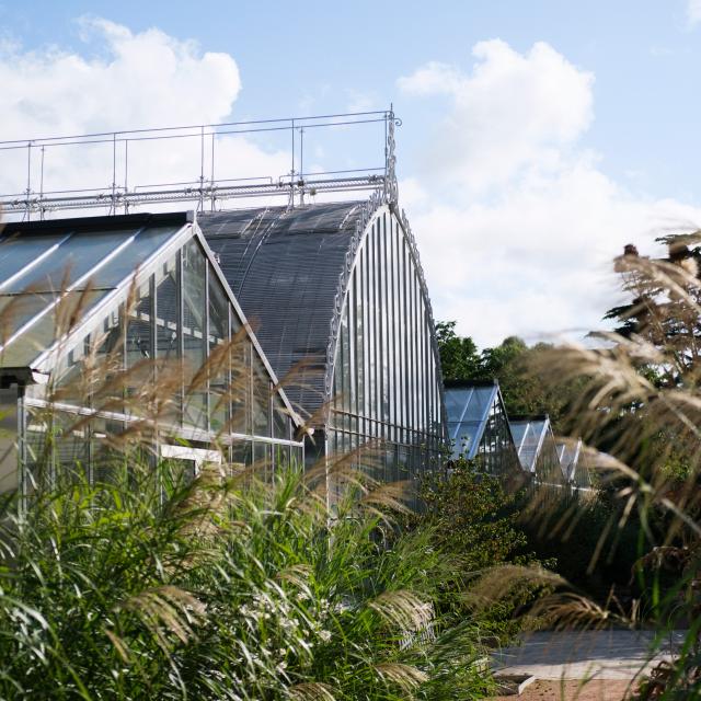 Aa Mrn 21 09 11 Rouen Jardin Des Plantes Gdj 0246