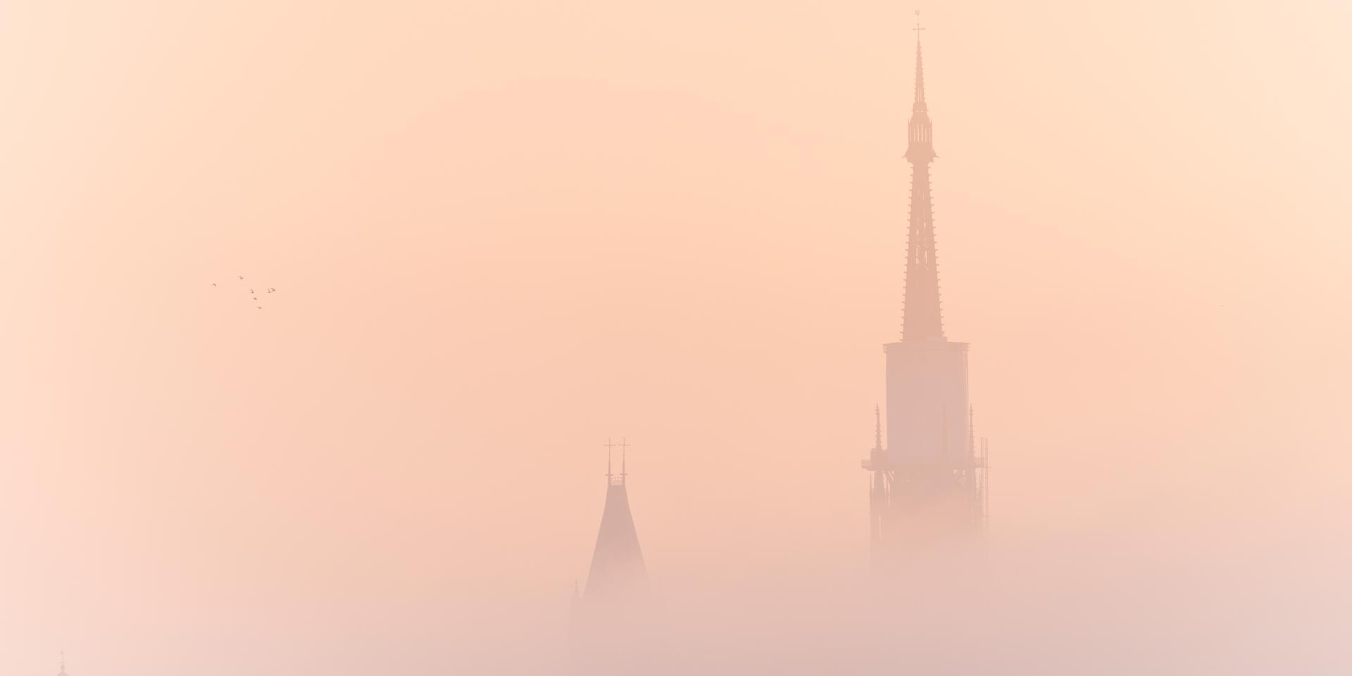 Kathedrale Notre-Dame de Rouen im Nebel