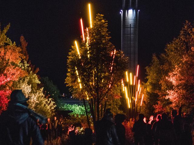 Rush Festival 2017 rouen presqu'ile Rollet spettacolo concerto vie nocture patrimonio culturale musica