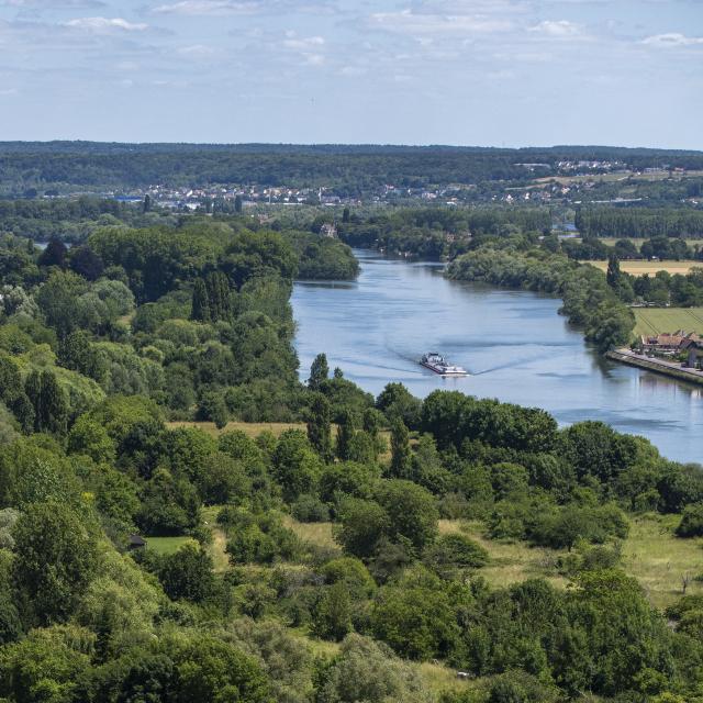 Patrimoine Naturel, nature, seine, route des roches, oissel, forêt, végétation