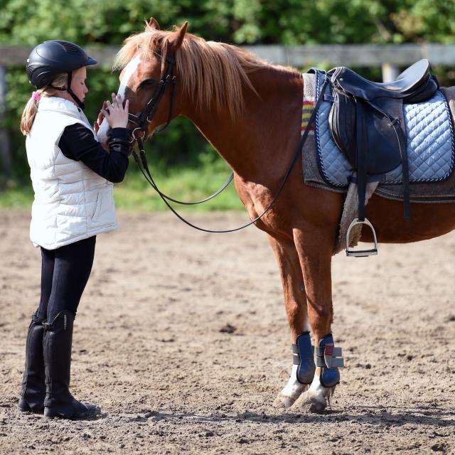 pexels-arthur-krijgsman-4019299