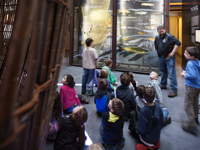 Fabrique des savoirs sortie scolaire pédagogue pédagogie ludique elbeuf métropole rouen normandie