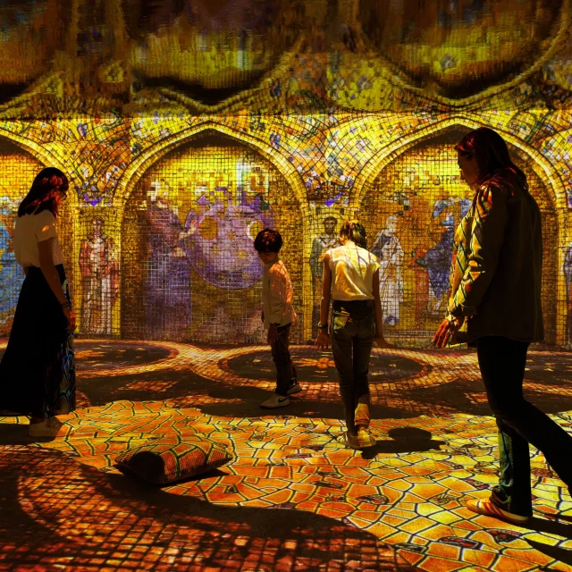 Cite Immersive Viking Rouen Photo David Morganti