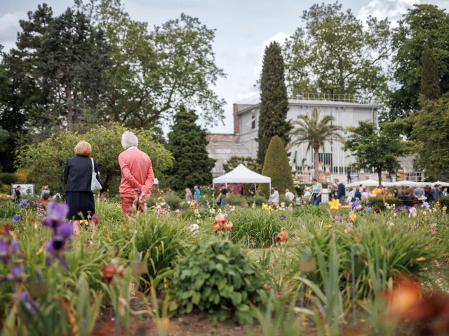 Aa 240518 Samen Von Jardina Aubry Metropole Rouen Normandie 1097