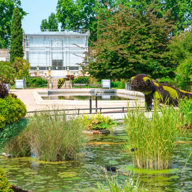 Jardin Des Plantes
